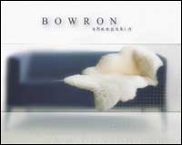 Web design client - Bowron Industries